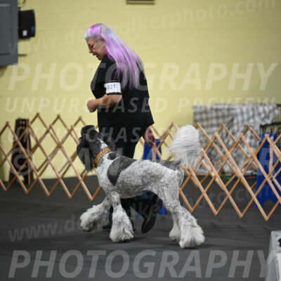 SAT821_0007