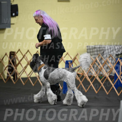 SAT821_0008