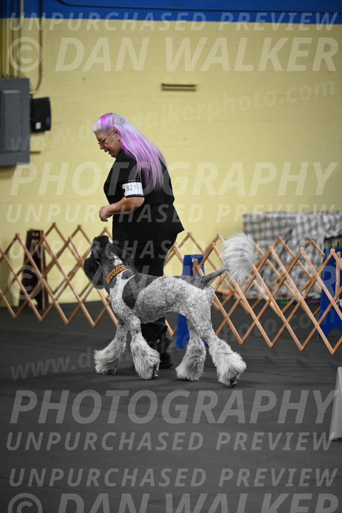 SAT821_0008