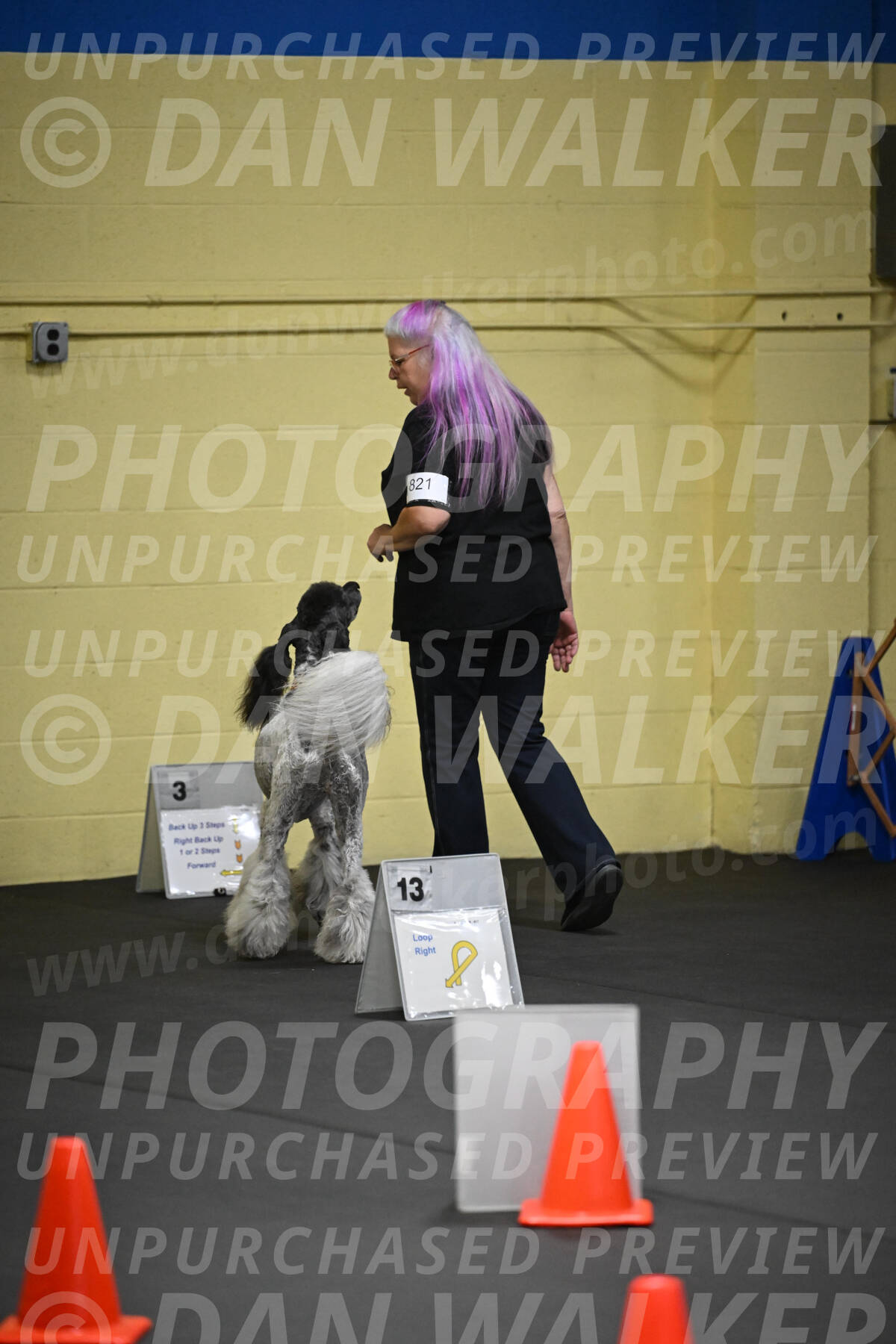 SAT821_0010