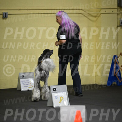 SAT821_0012