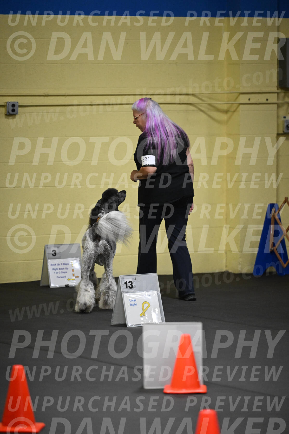 SAT821_0012