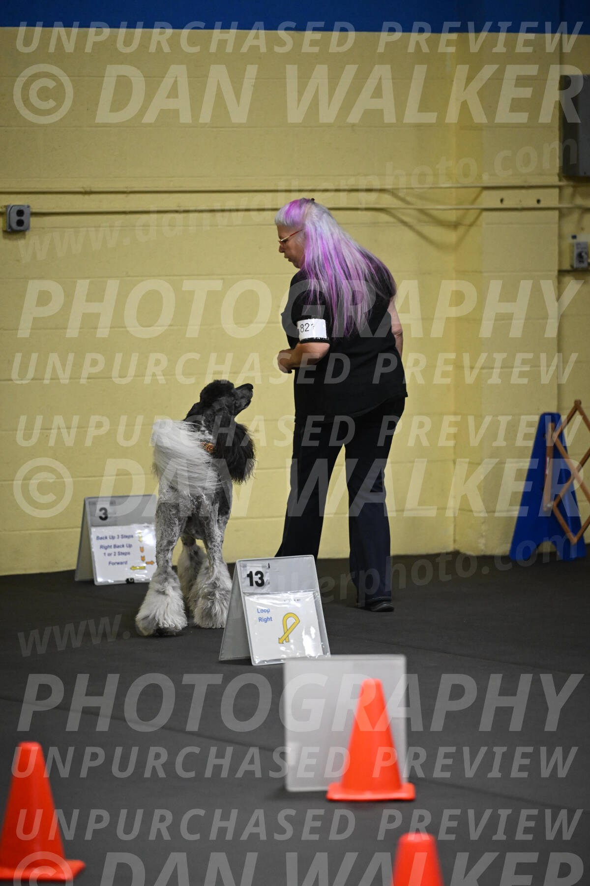 SAT821_0013