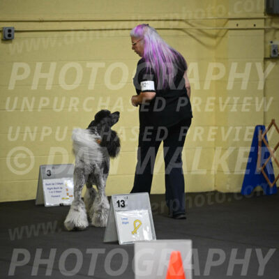 SAT821_0013