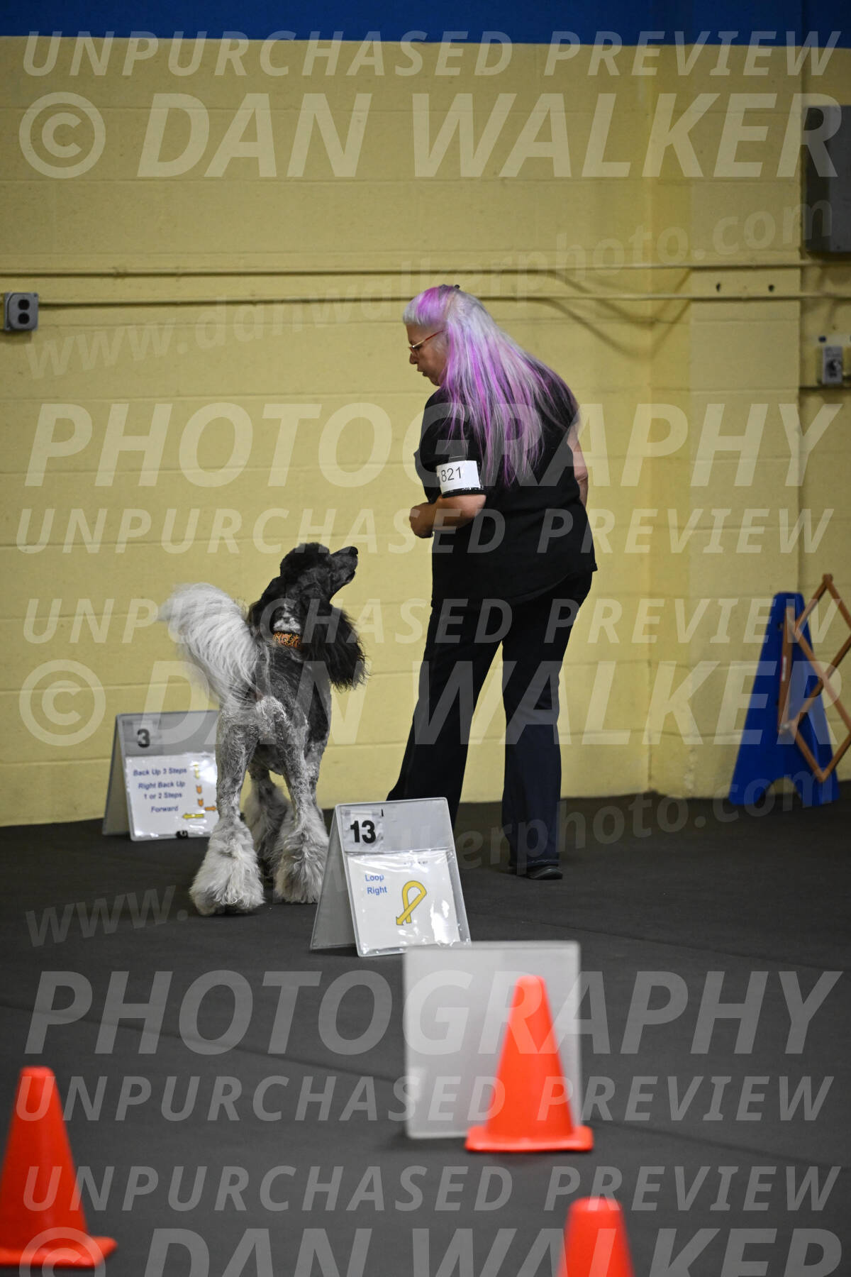 SAT821_0014