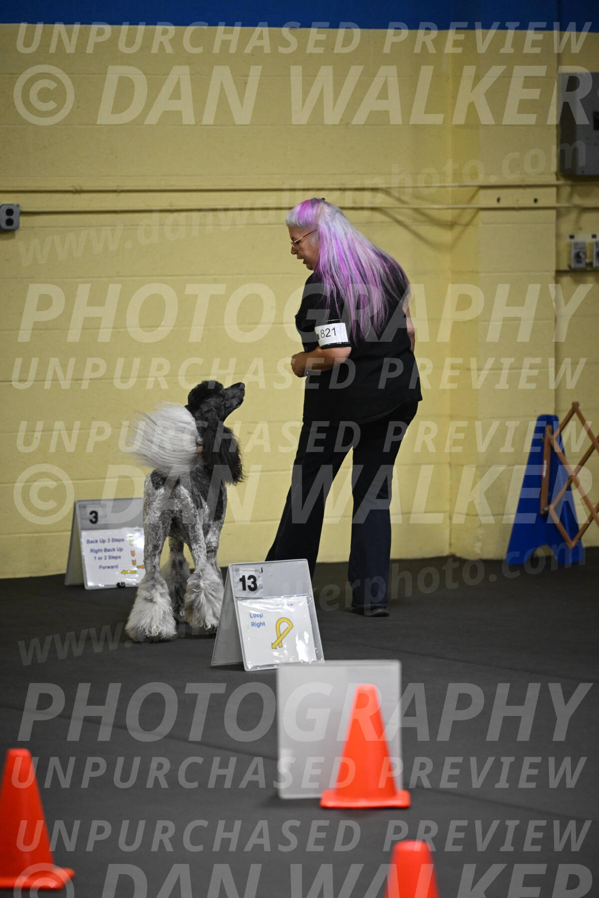 SAT821_0015