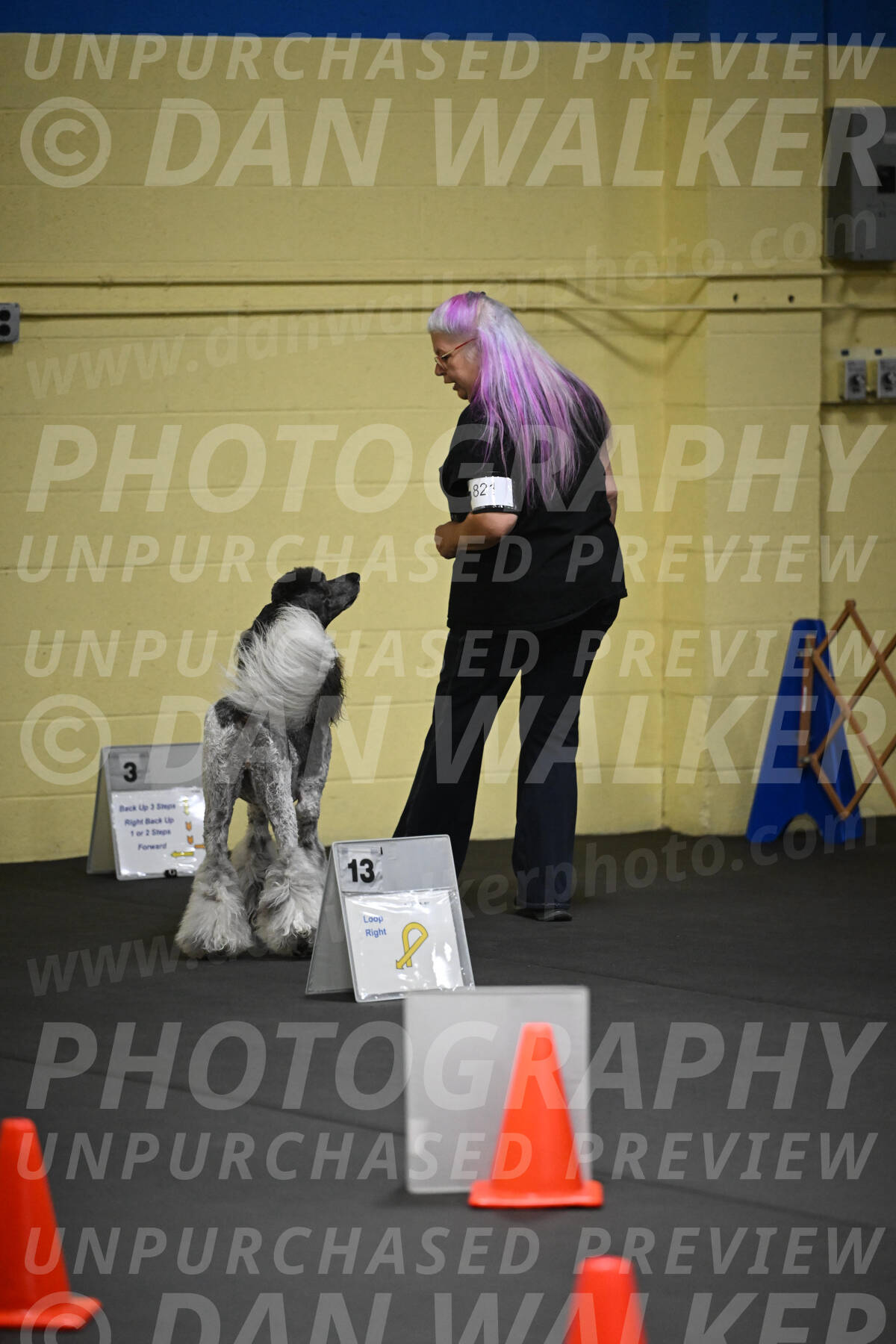 SAT821_0016