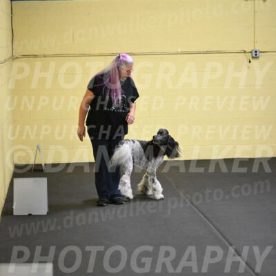 SAT821_0069