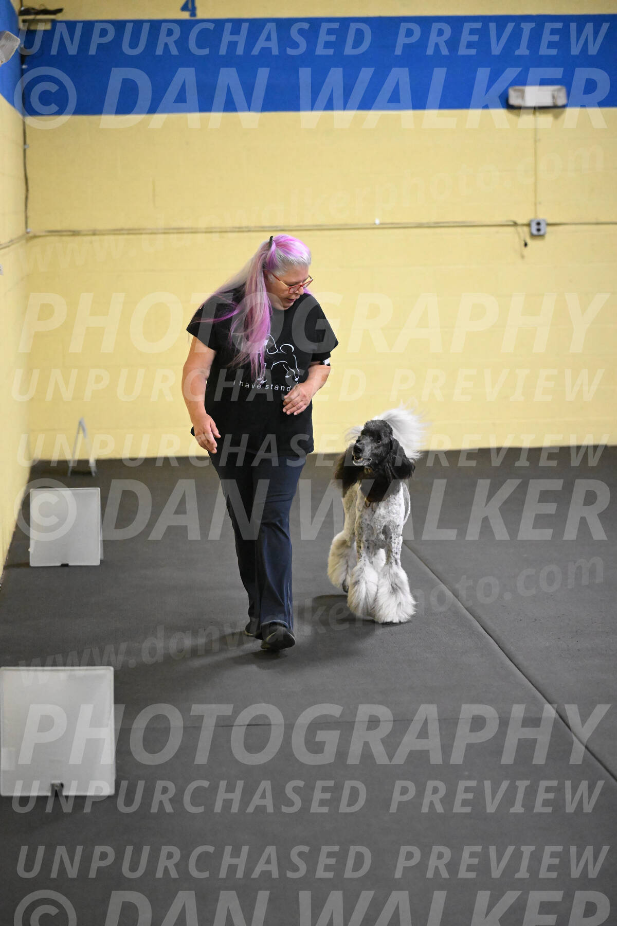 SAT821_0081