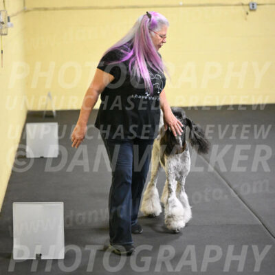 SAT821_0097