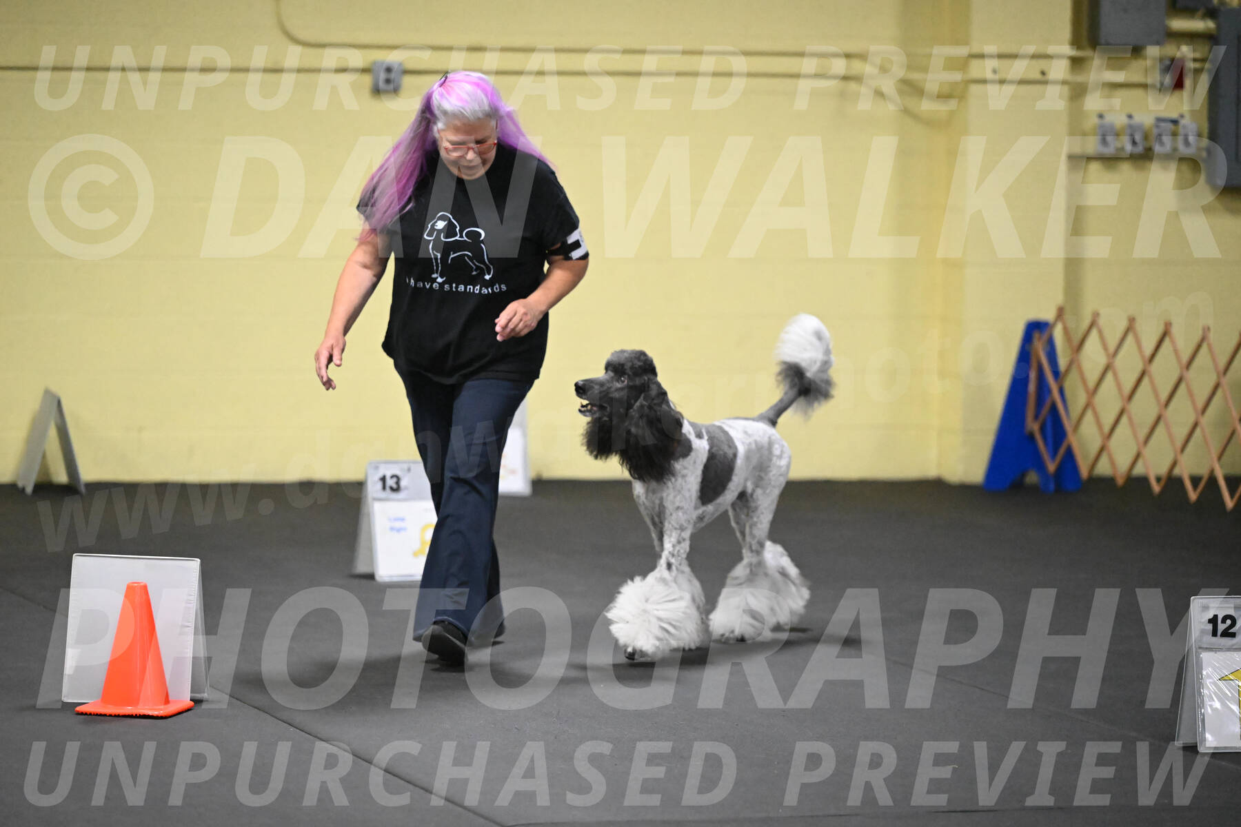 SAT821_0136