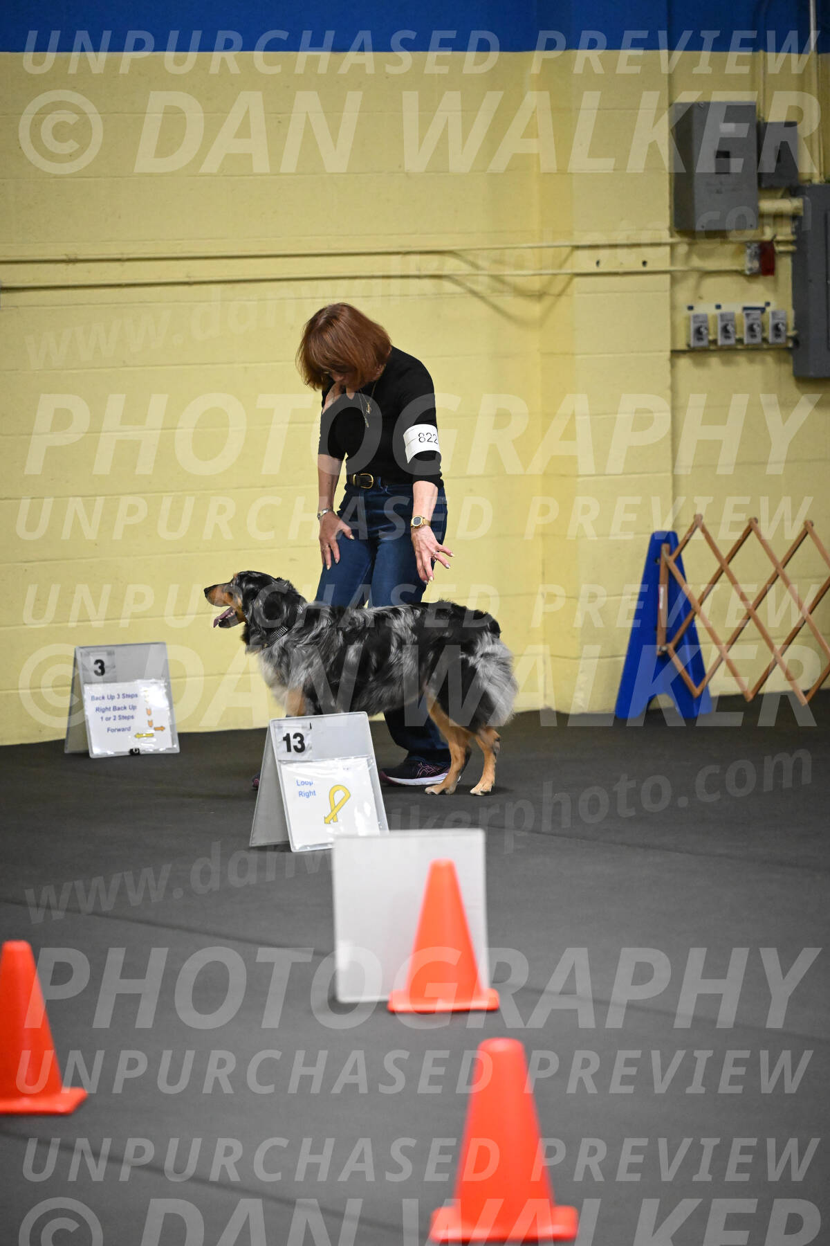 SAT822_0015