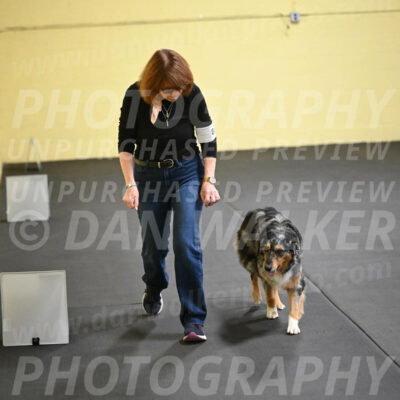 SAT822_0081