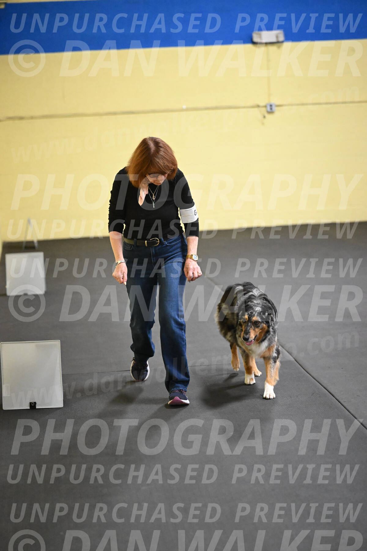 SAT822_0081
