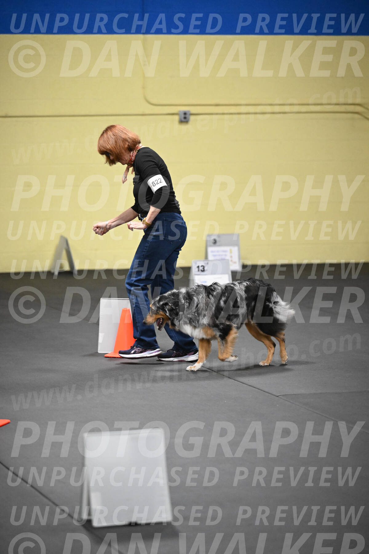 SAT822_0082