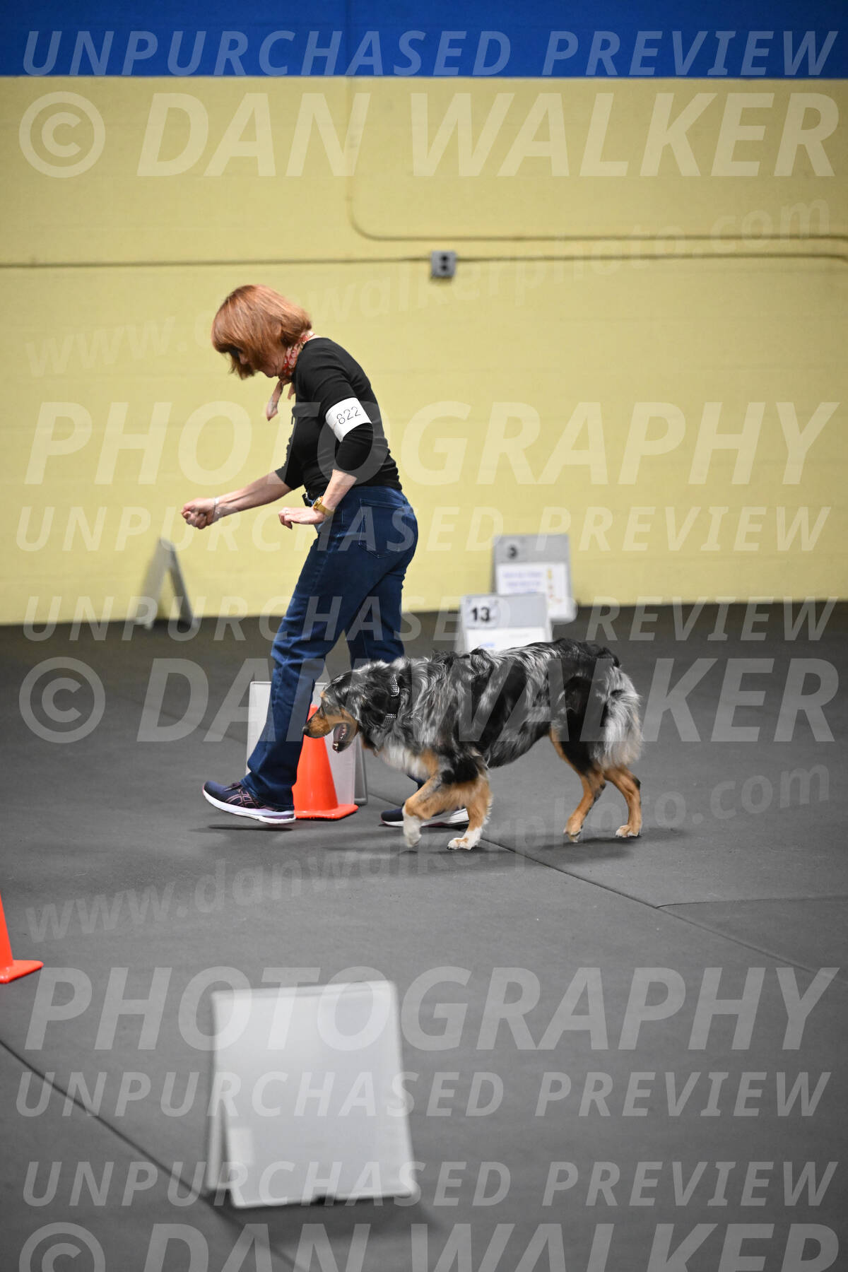 SAT822_0083