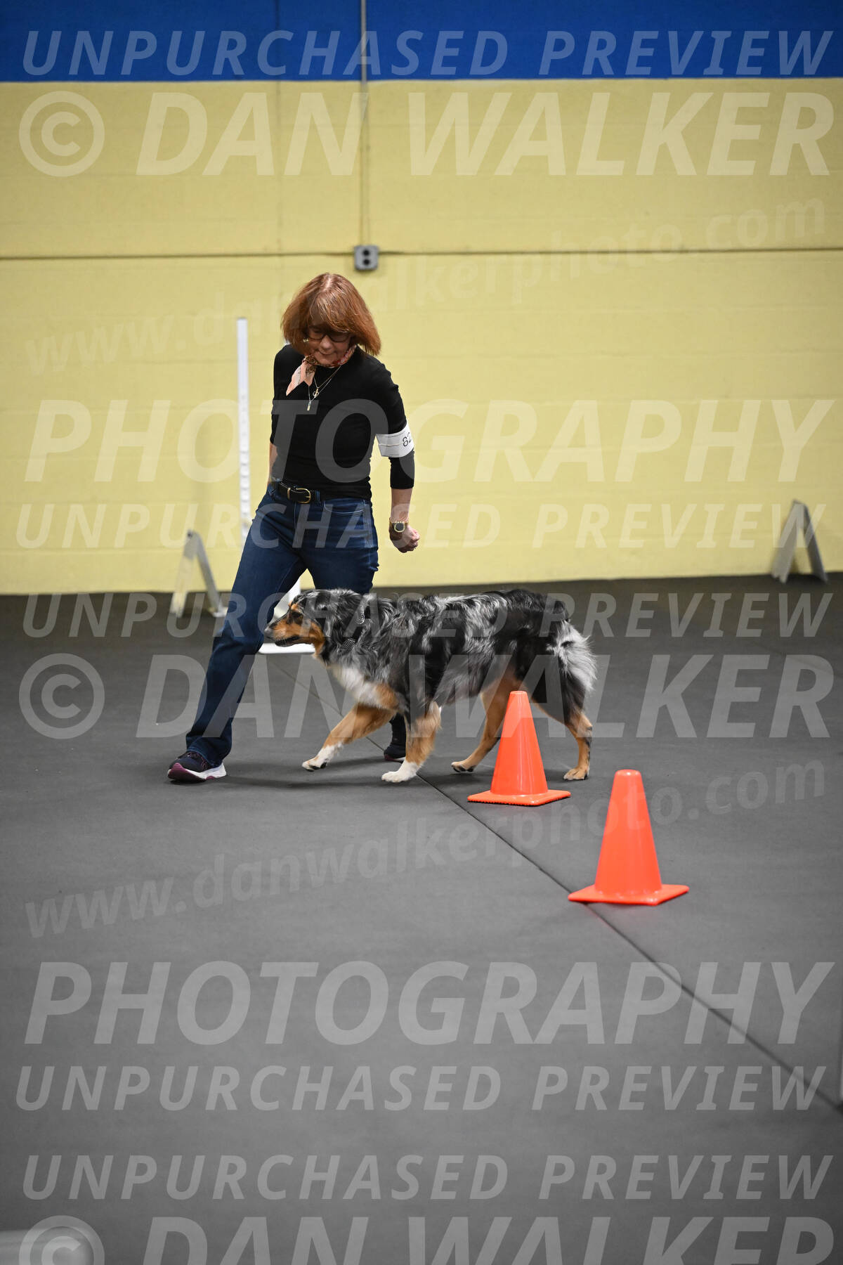 SAT822_0086