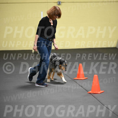 SAT822_0095