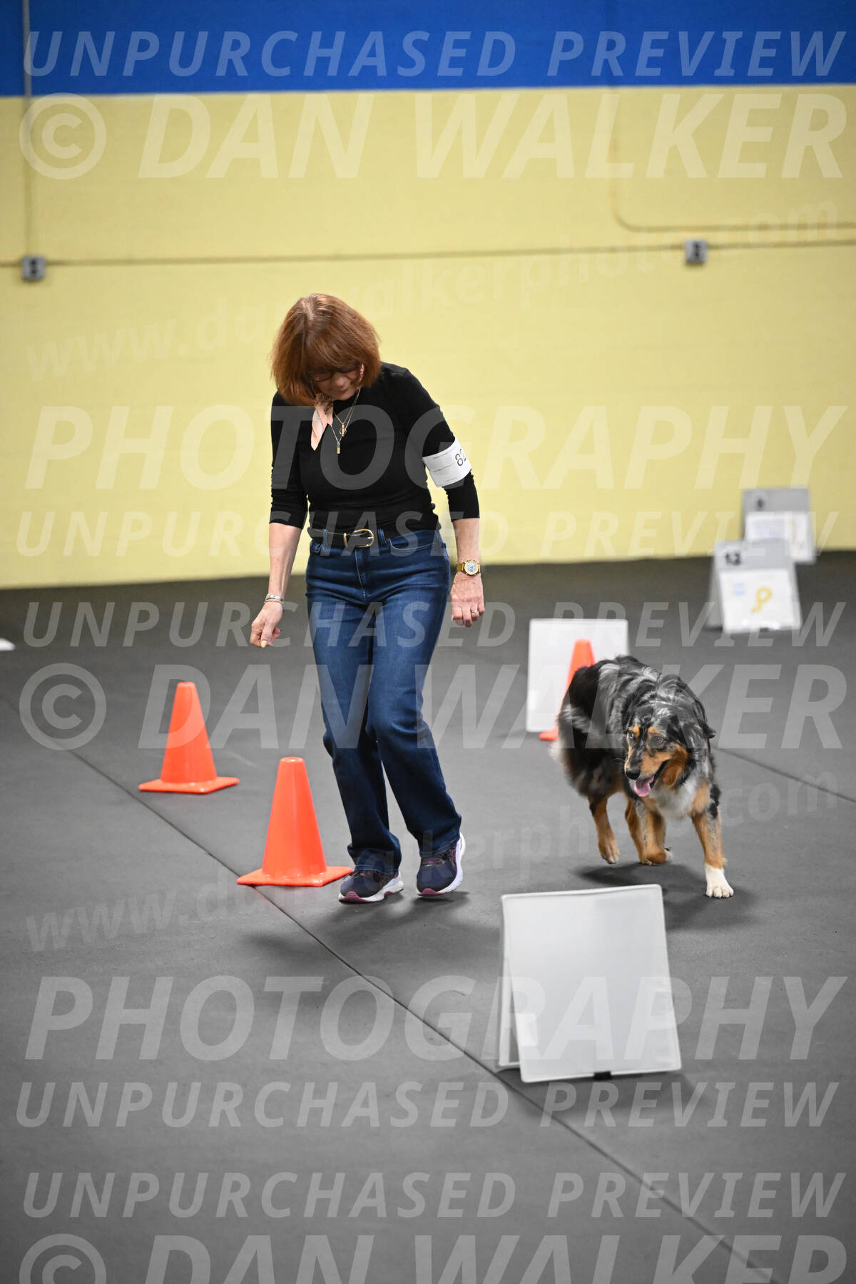 SAT822_0099