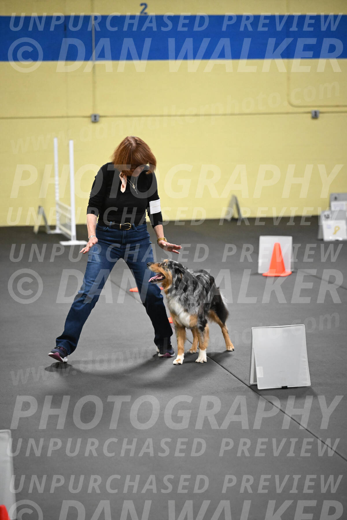 SAT822_0105