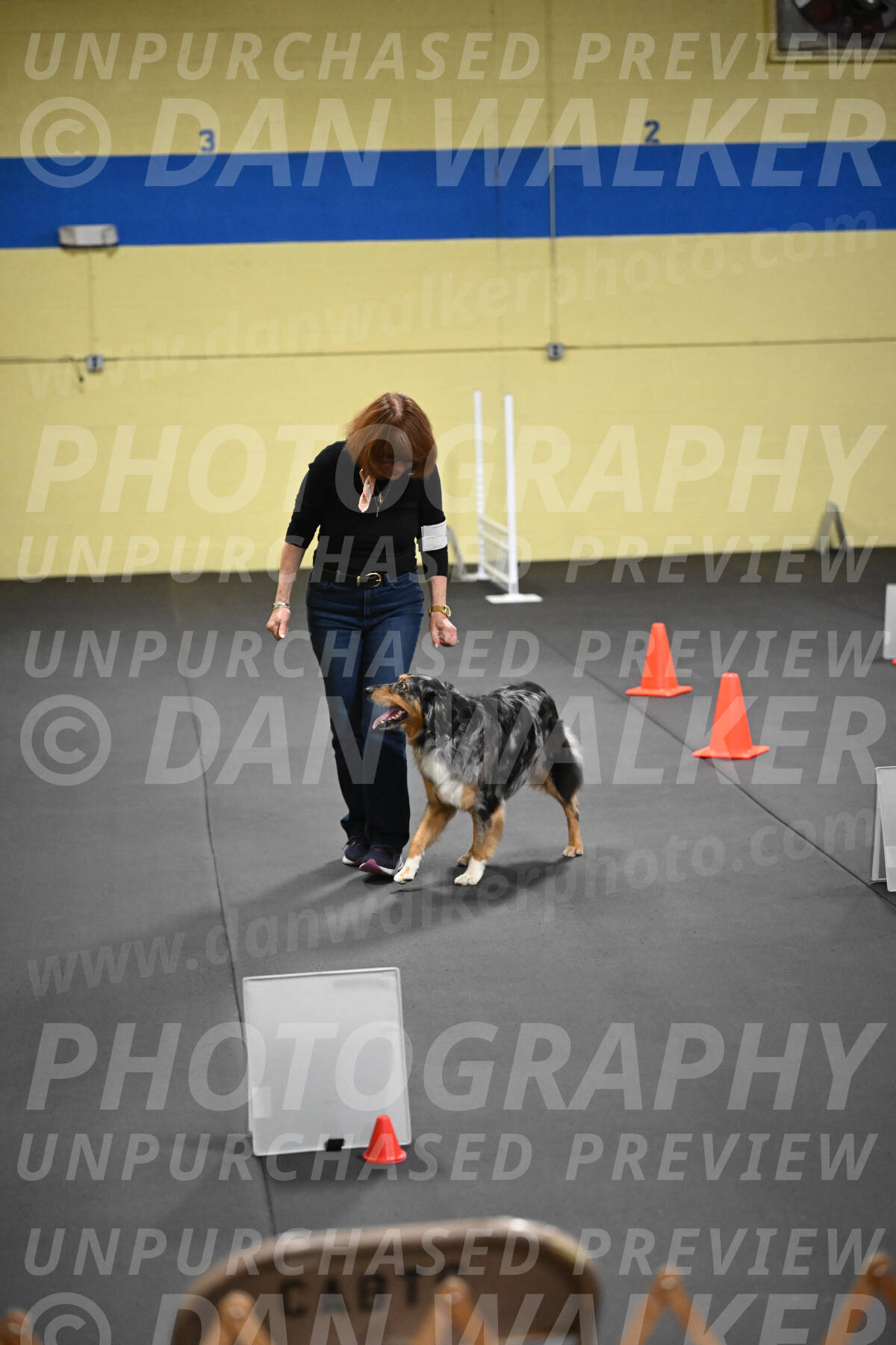 SAT822_0113