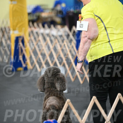 SAT823_0015