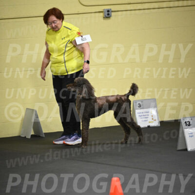 SAT823_0027