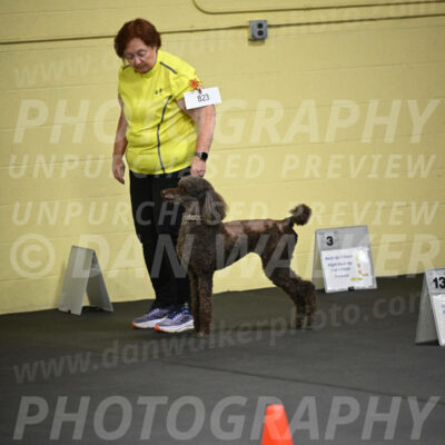 SAT823_0029