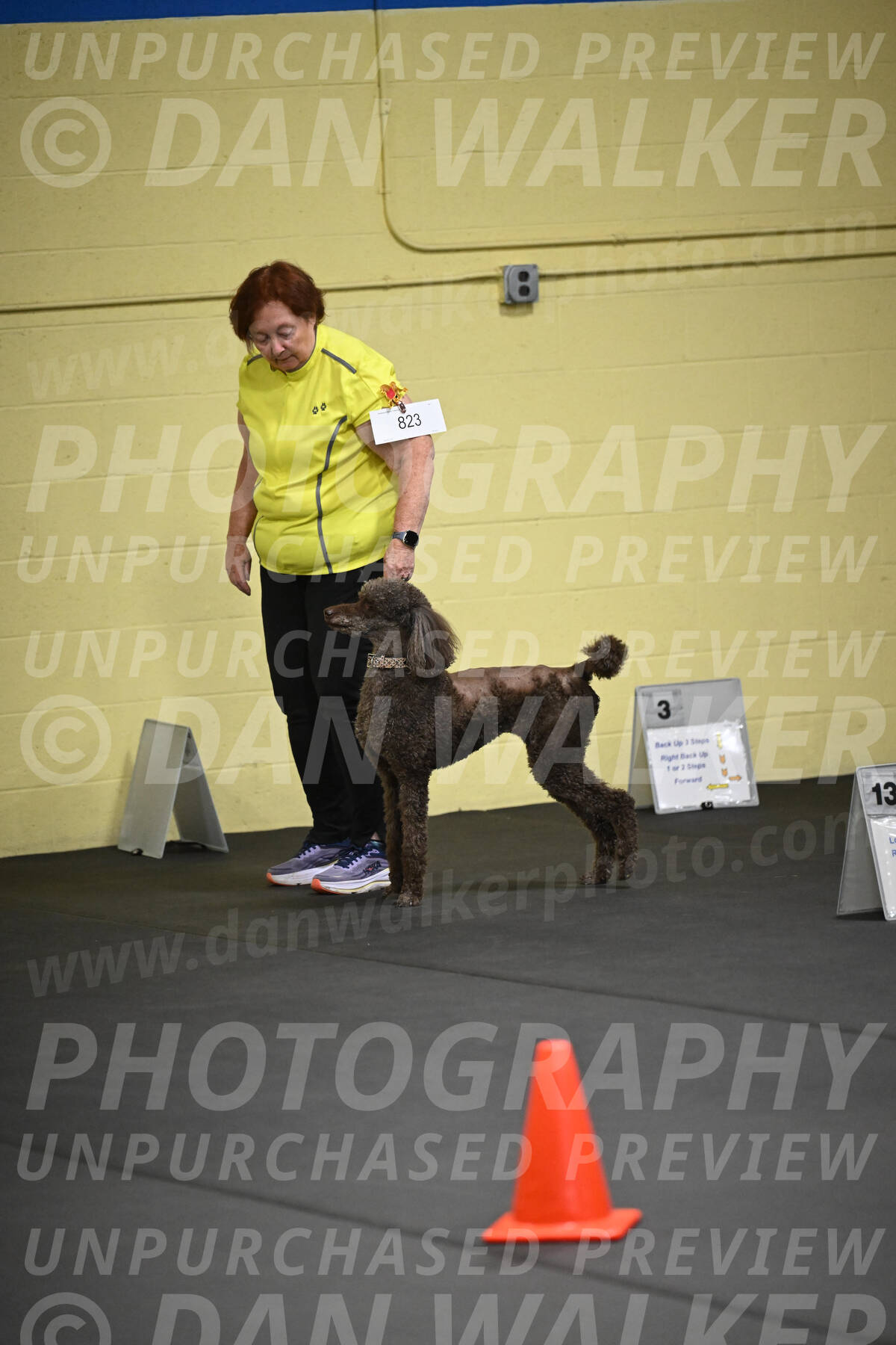 SAT823_0029