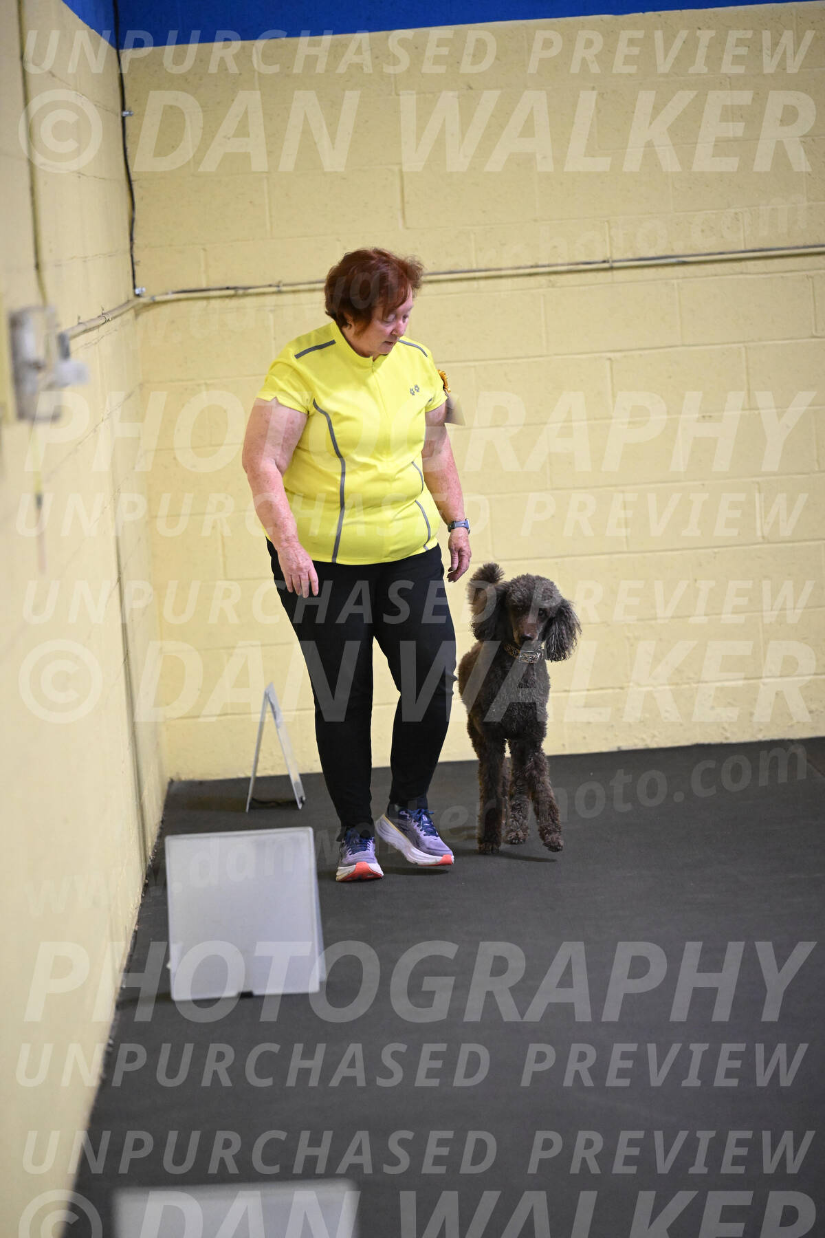 SAT823_0047