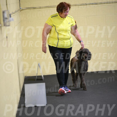 SAT823_0051