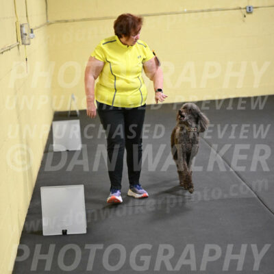 SAT823_0087
