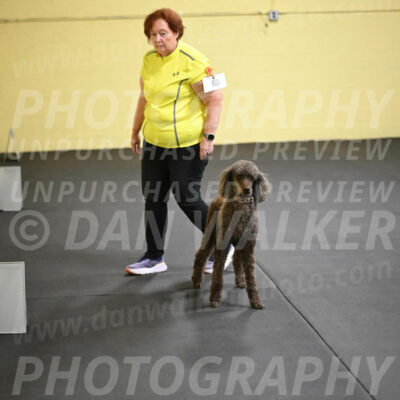 SAT823_0094