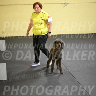 SAT823_0095