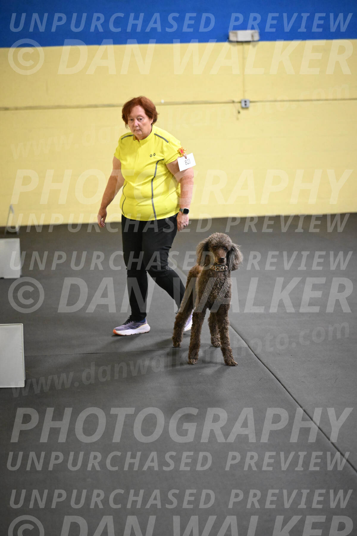 SAT823_0095