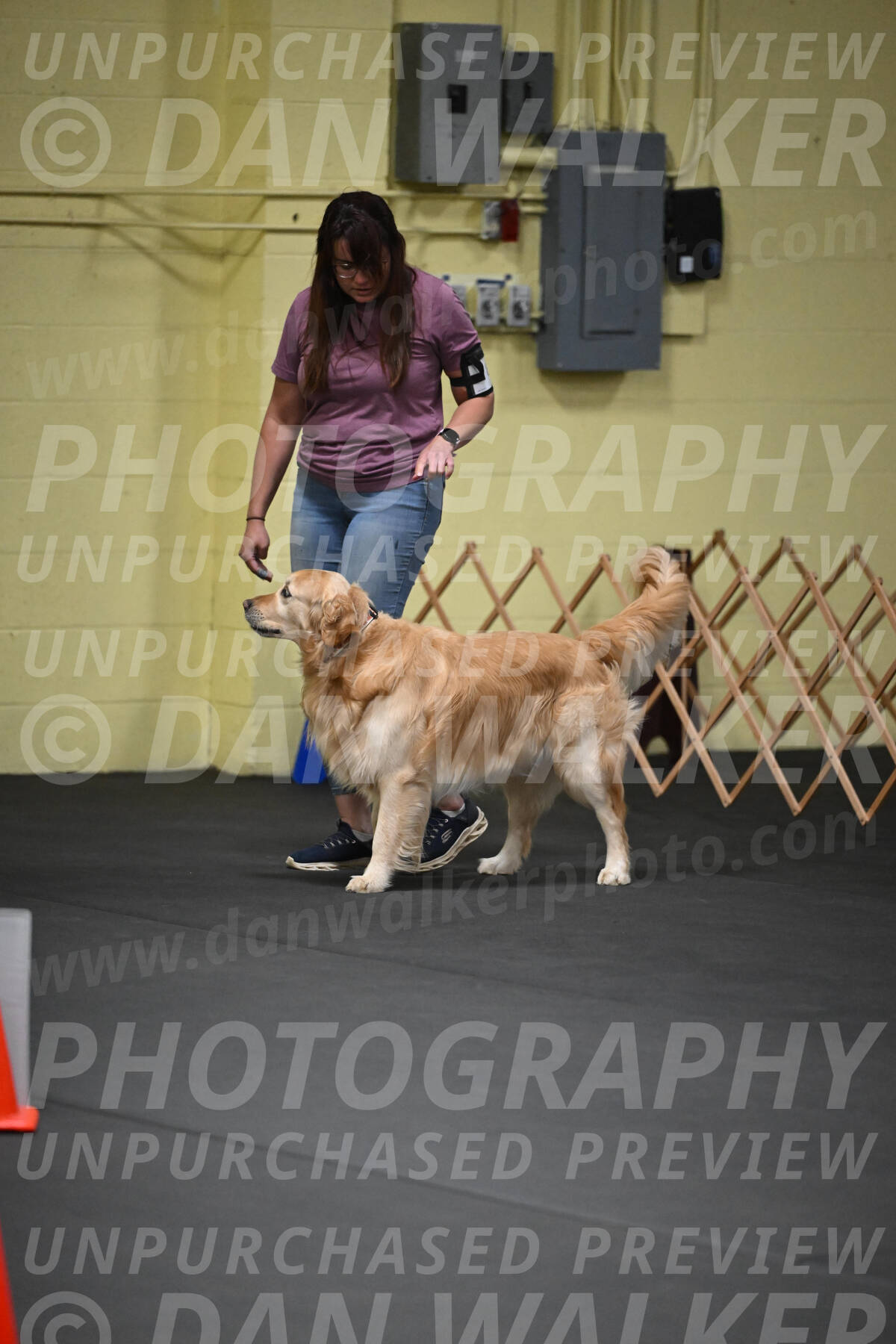 SAT824_0017