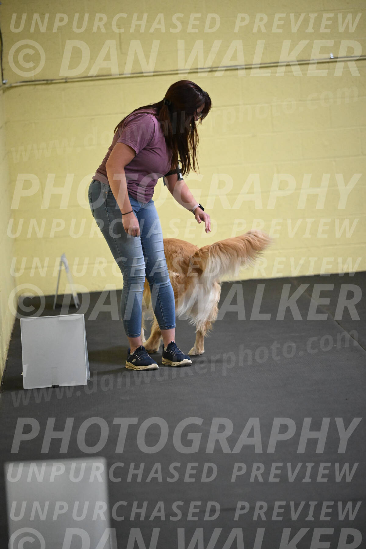 SAT824_0061