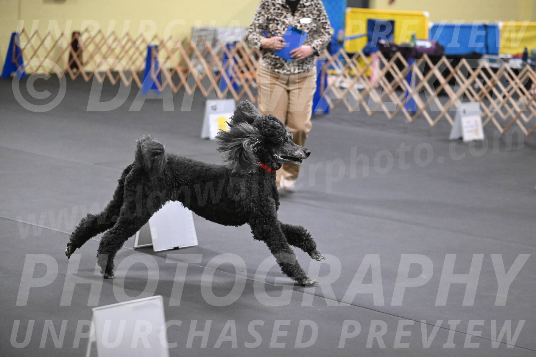 SAT825_0056