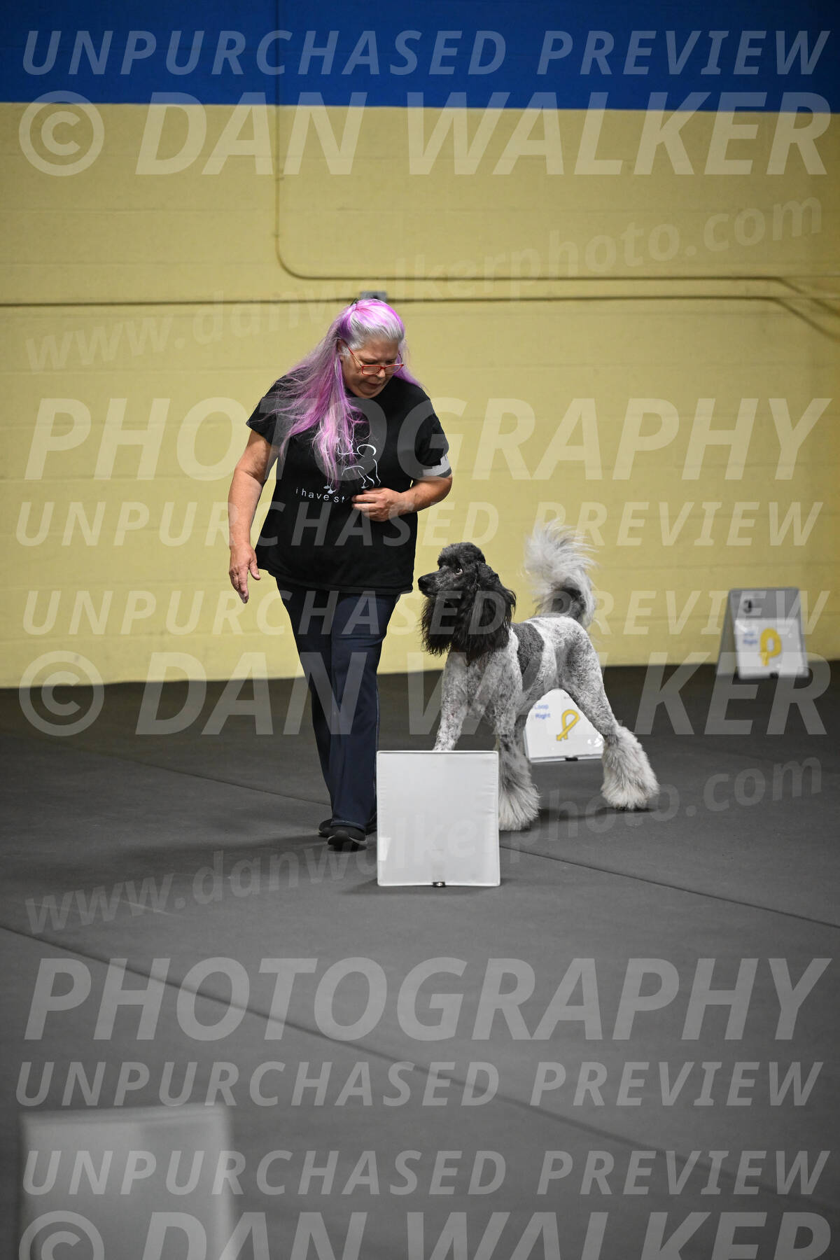 SAT899_0019
