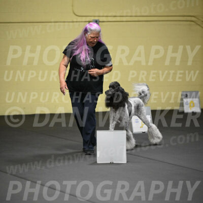 SAT899_0020