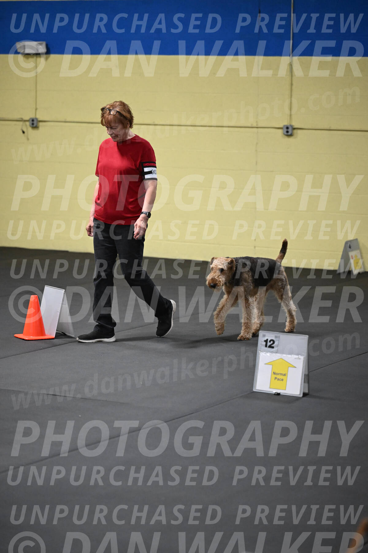 SAT902_0045