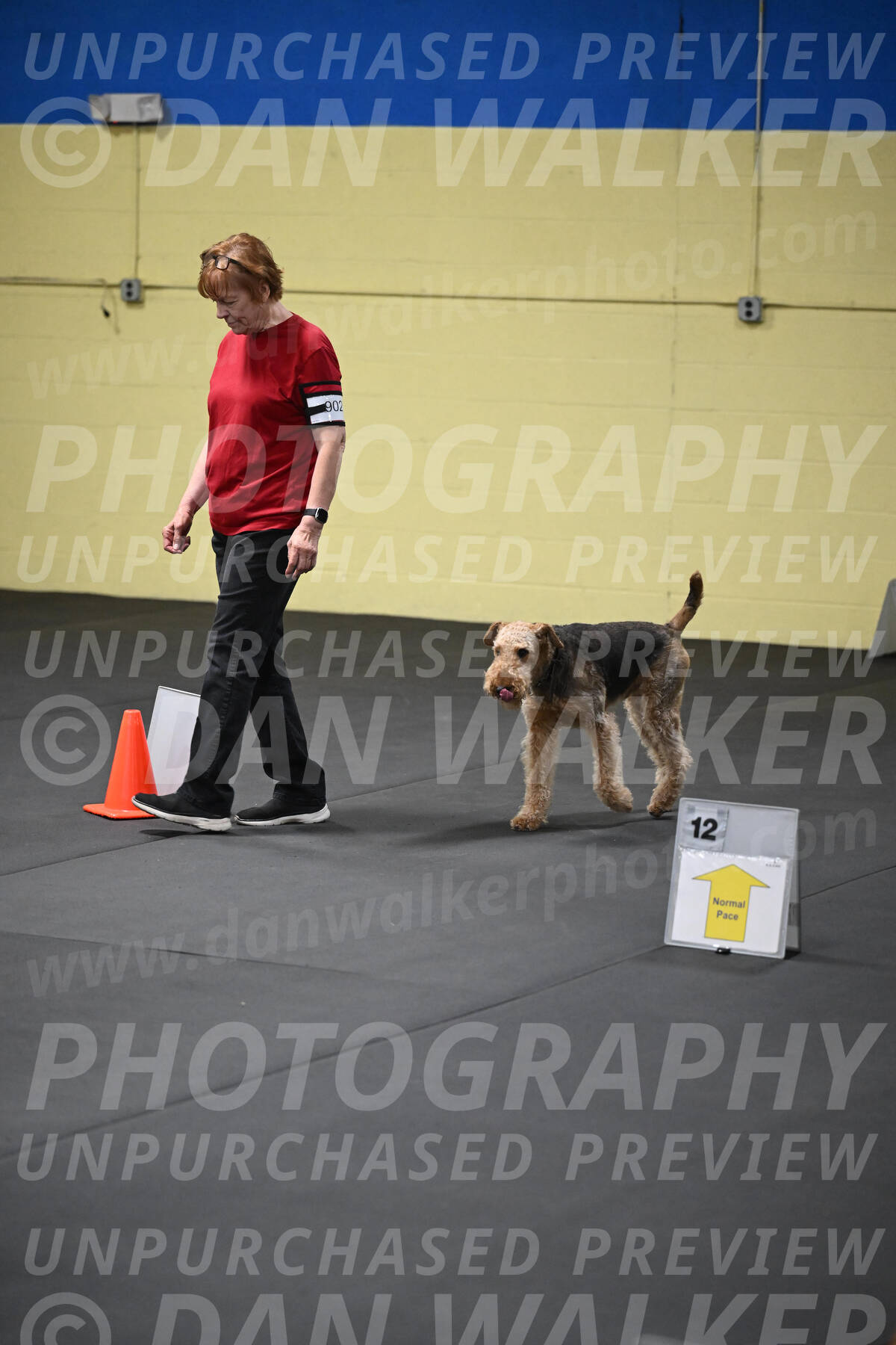 SAT902_0046