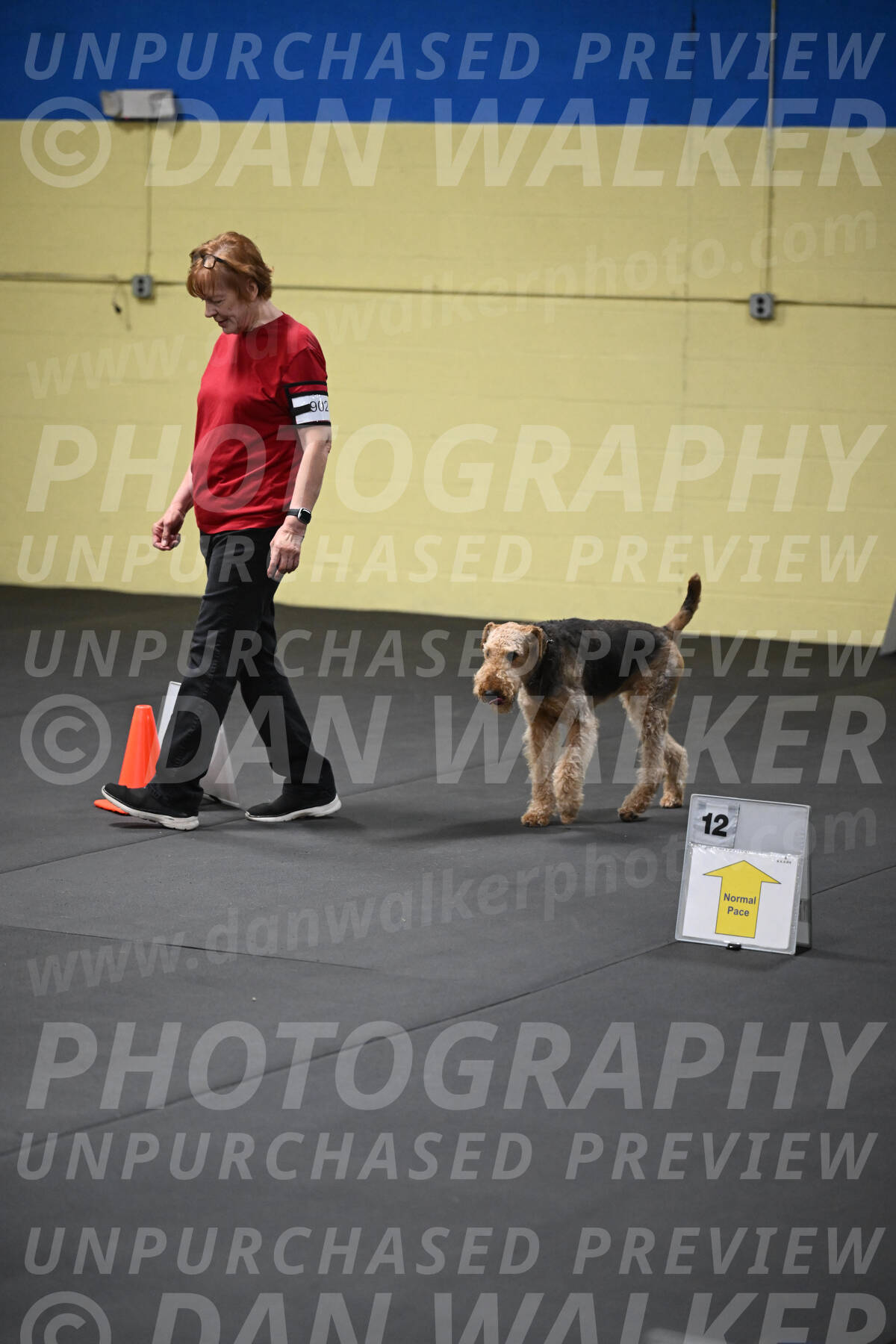 SAT902_0047