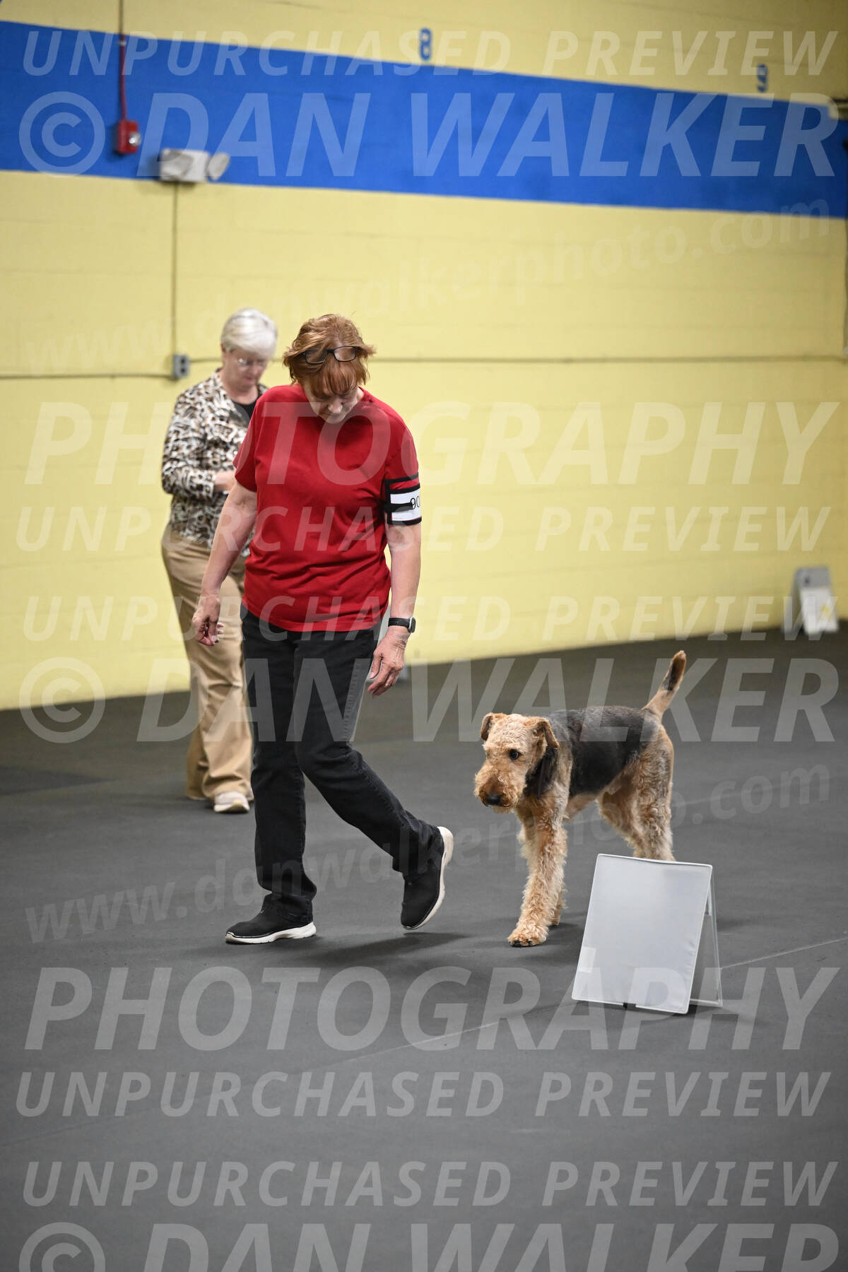 SAT902_0054