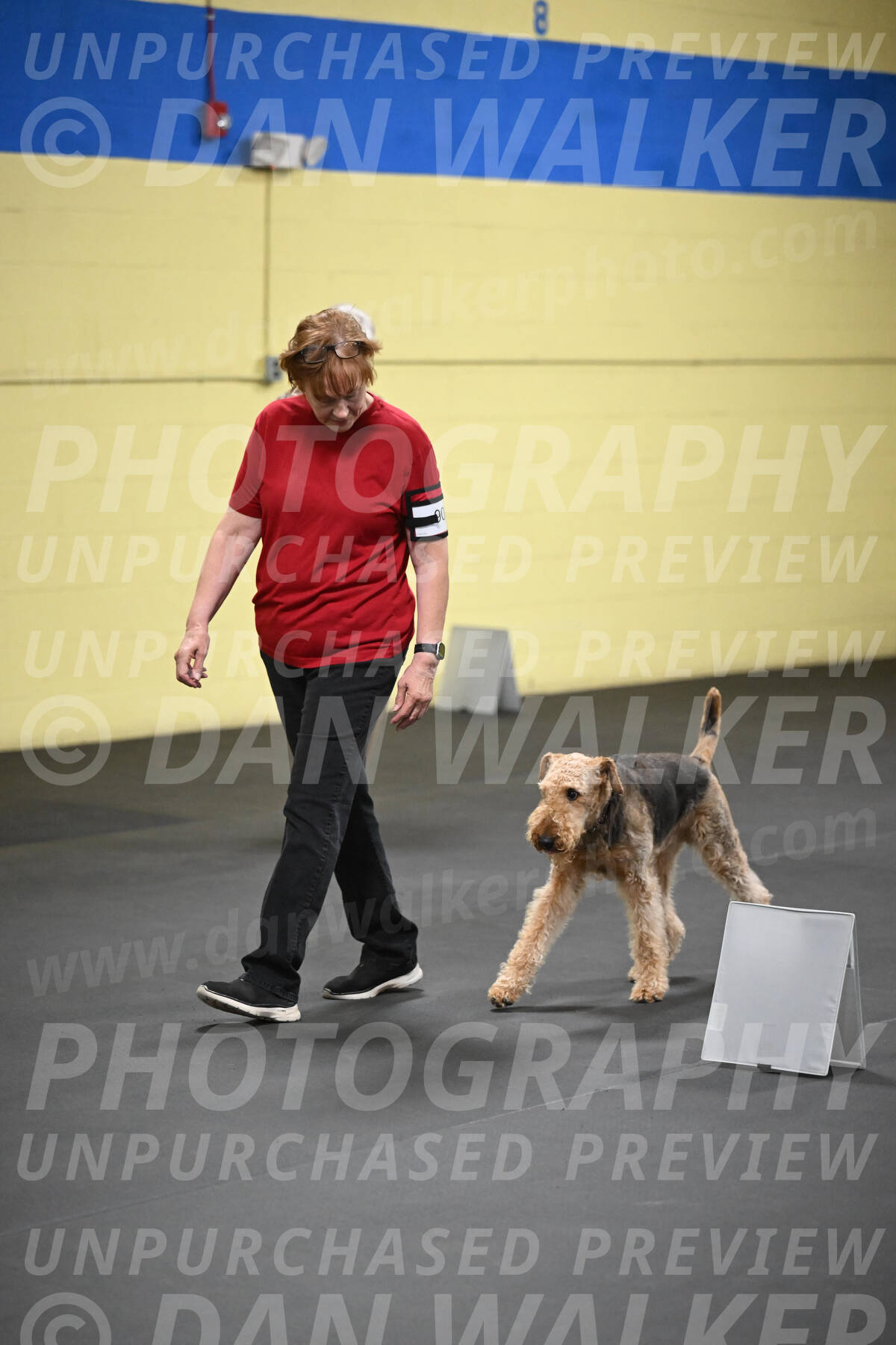 SAT902_0055