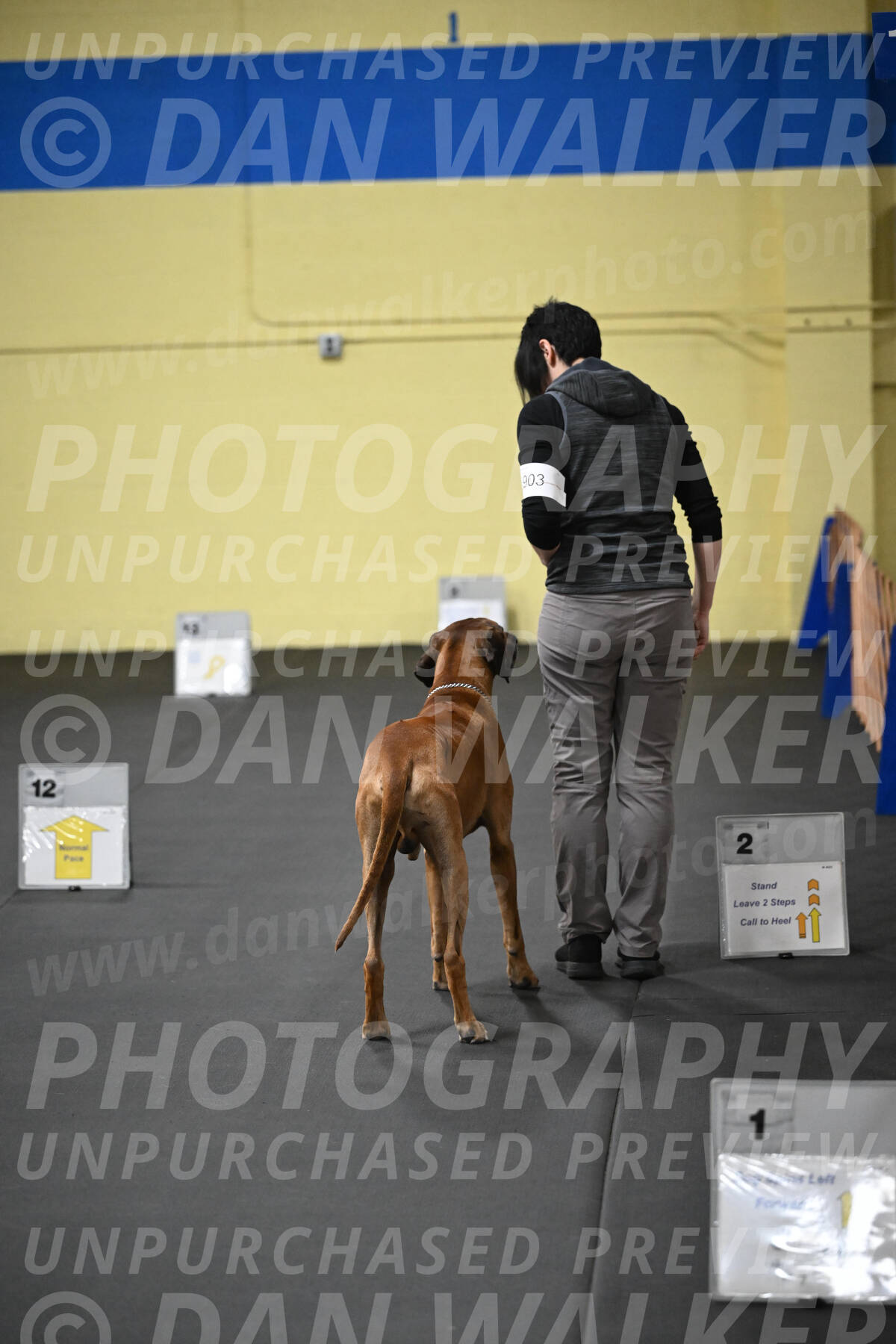 SAT903_0014