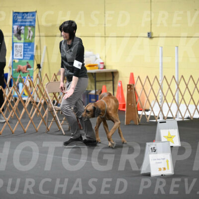 SAT903_0079