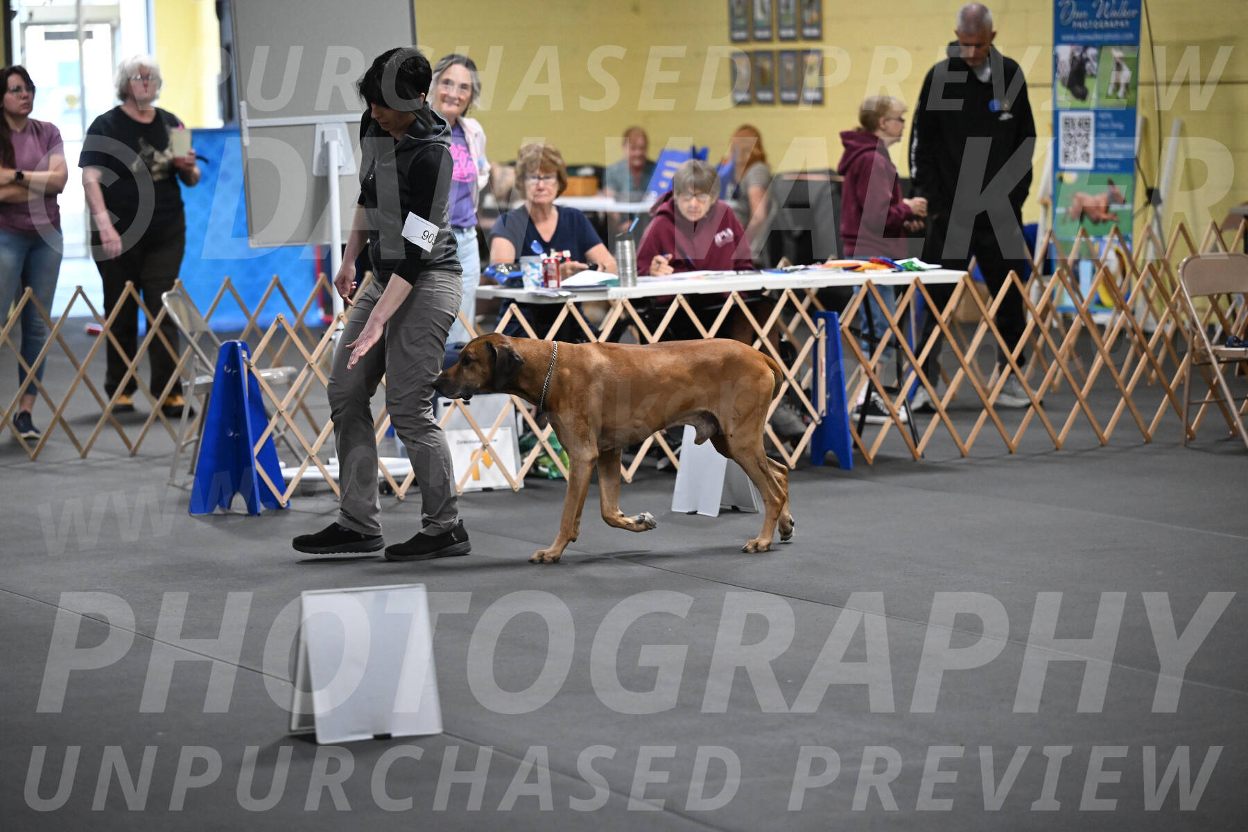 SAT903_0094