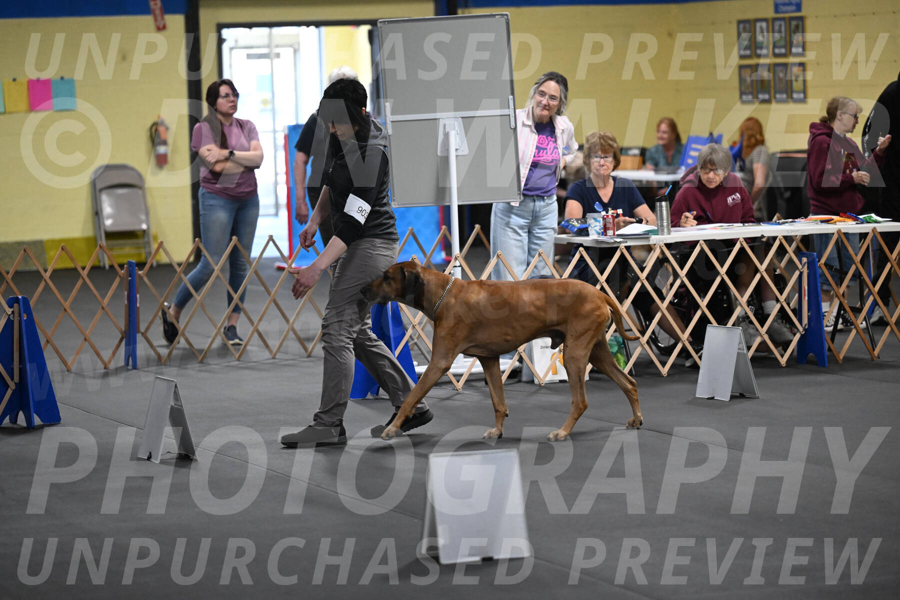 SAT903_0098
