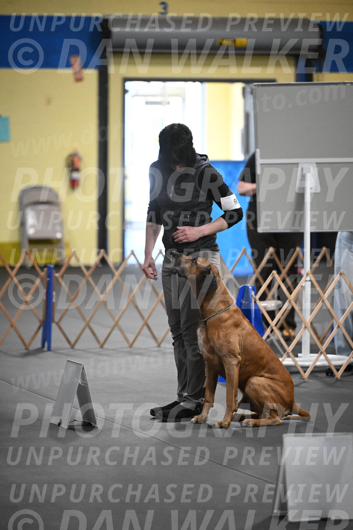 SAT903_0105